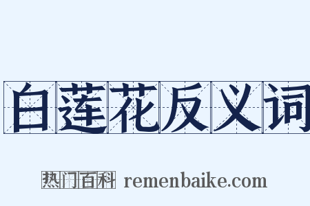 白莲花反义词是什么意思的图片